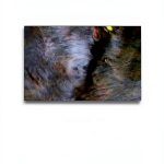 Indonesia Travel Guide by Sastra Books Kindle-0